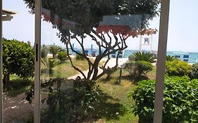 Tempesta Home
